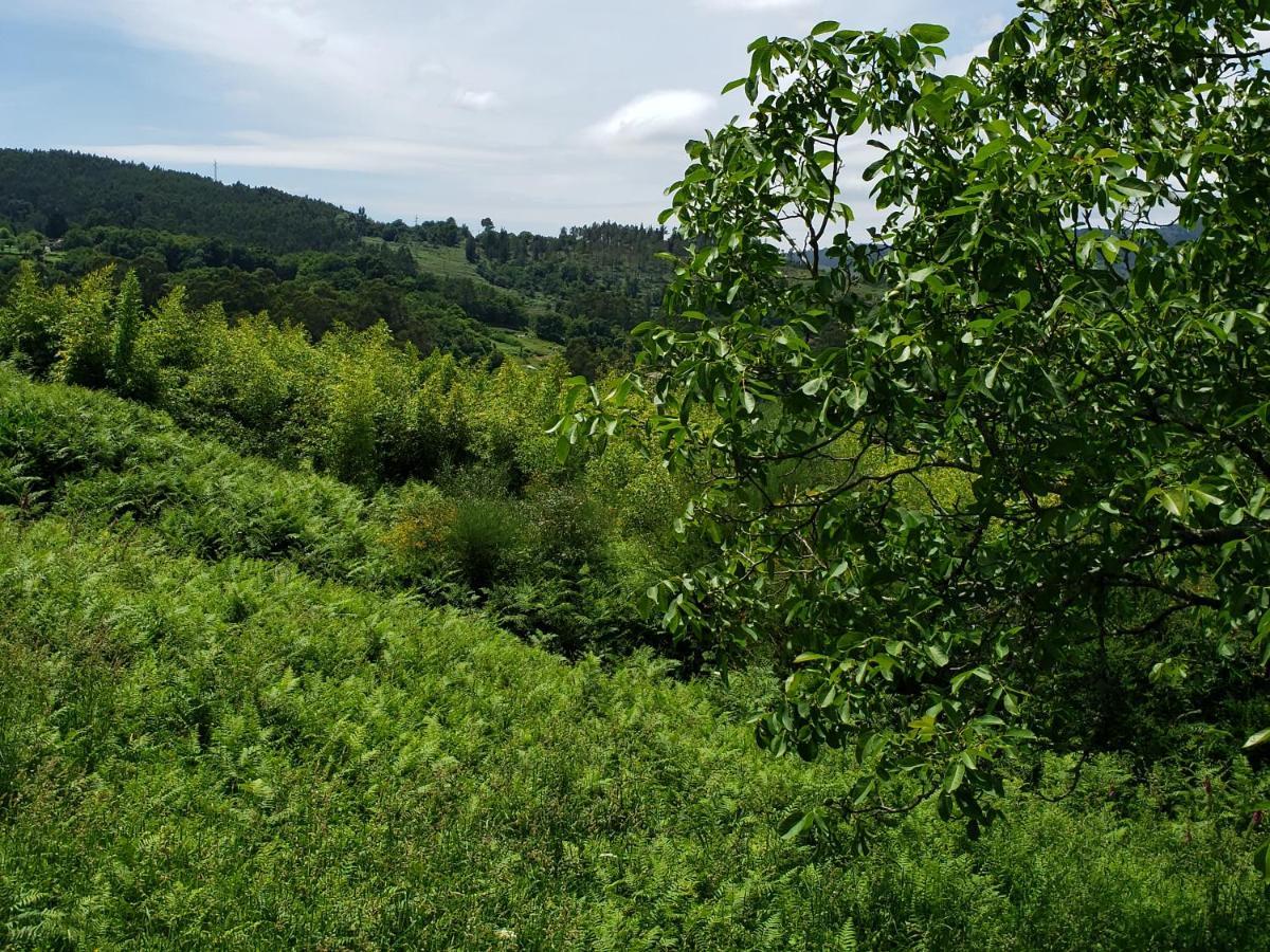 Casa Rural Do Fontan ξενώνας Ποντεβέντρα Εξωτερικό φωτογραφία
