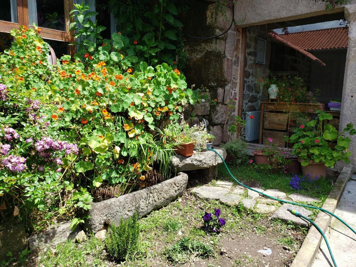Casa Rural Do Fontan ξενώνας Ποντεβέντρα Εξωτερικό φωτογραφία