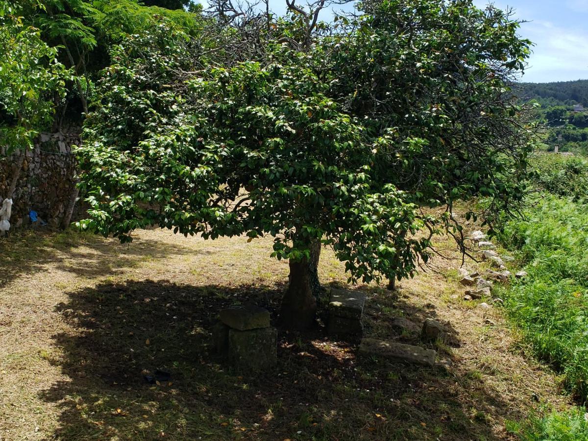 Casa Rural Do Fontan ξενώνας Ποντεβέντρα Εξωτερικό φωτογραφία